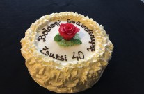 Cake 127